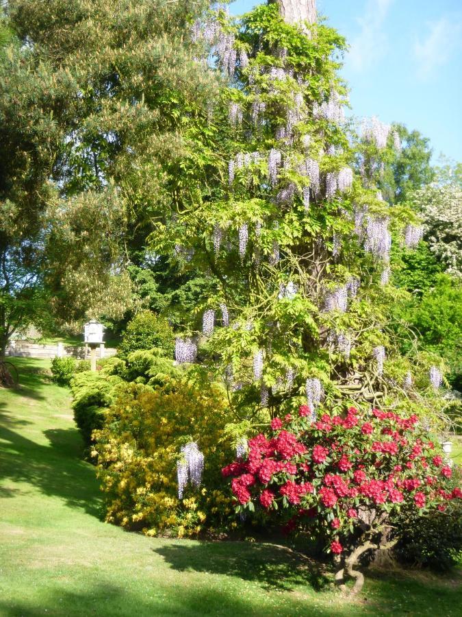 Chart House Bed And Breakfast Dorking Exterior photo